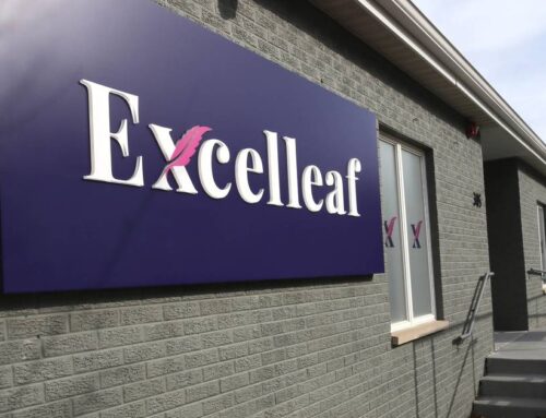 City of DeKalb gives final OK to cannabis dispensary tasting rooms