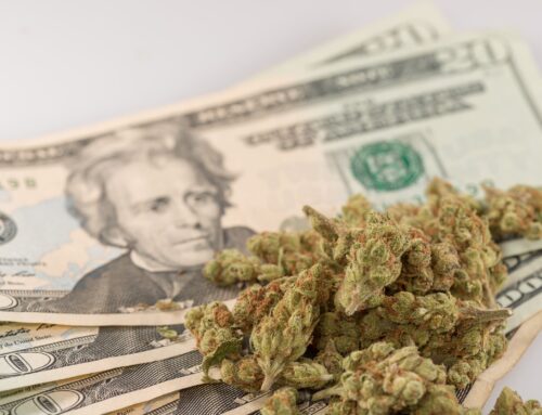 California Cannabis Operators Warn That New Tax Hike ‘Could Kill This Industry’