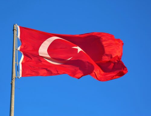 Türkiye court asked to scrutinize environmental impact assessment for coal plant expansion