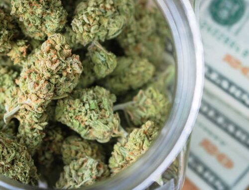 Maryland’s Cannabis Sales Tax Jumps from 9% to 12% Starting Today