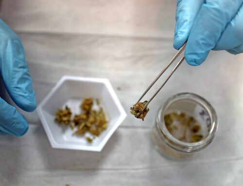 Cannabis testing lab appeals shutdown order, sues regulators