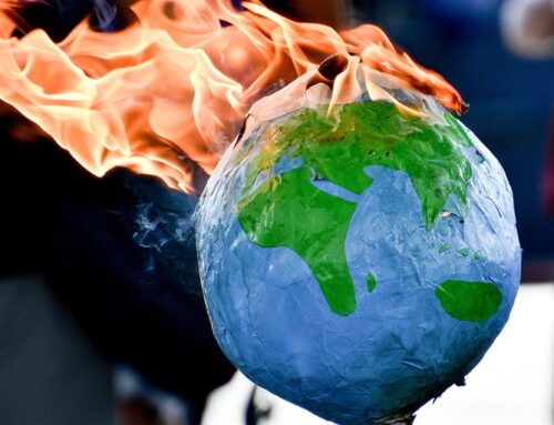 Environmental activists complain California Democrats have ‘backed down’ on climate change