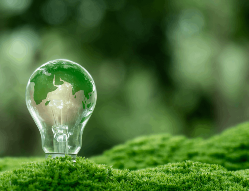 Who Is The Biggest Renewable Energy Generator?