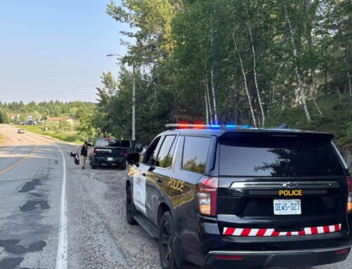 Northern Ont. spotcheck finds unaccompanied G1 driver, unsecured toddler, cannabis