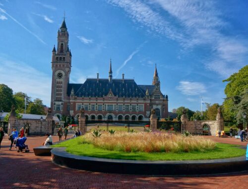 A Healthy Environment Is a Human Right, UN Court Rules