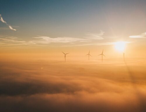 We Can Save Our Earth: Environment Opportunities 2025