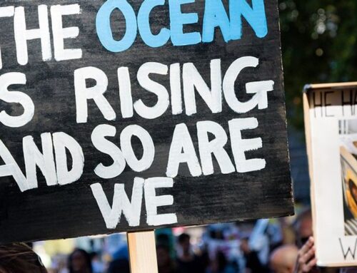 Trump faces youth climate lawsuit over rollback of environmental protections
