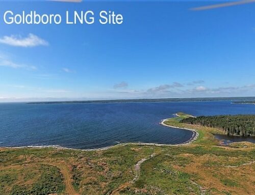 Renewable energy megaproject on Eastern Shore prepares for environmental assessment