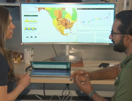 MIT researchers studying impact of generative AI on environment