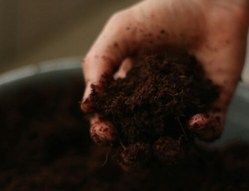 EPA releases Henry County soil test results amid claims Evergy, others contaminated enviro