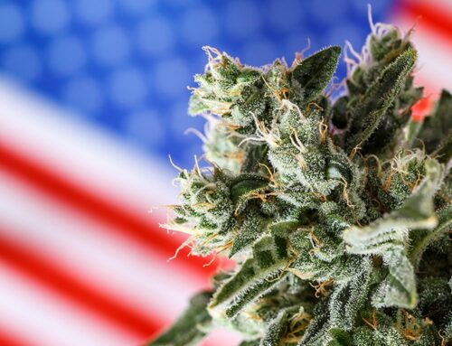 DEA Provides No Cannabis Rescheduling Update After 180 Days