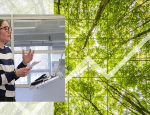 Economics meets the environment