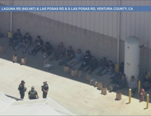 361 arrested in immigration sweeps at 2 Southern California cannabis farms, feds say