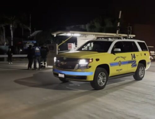 Rescue teams conduct search at Camarillo cannabis farm after immigration raid