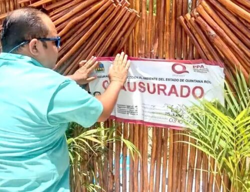 Environmental inspectors close Cozumel park access after verifying lagoon and mangrove fil