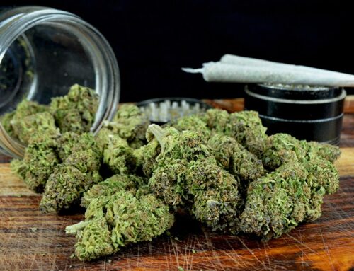 Delaware to Commence Adult-Use Cannabis Sales on Aug. 1—831 Days Since Legalization