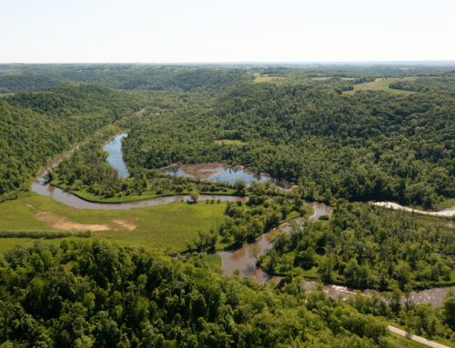 Key conservation, environmental priorities left out of Wisconsin budget
