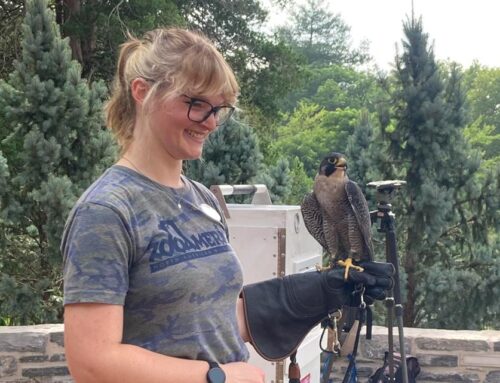 ‘Marvelous Mondays’ begins at Hershey Gardens, offering kids a chance to learn about the e