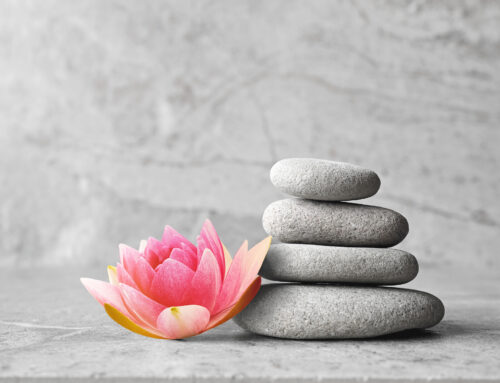 Wellness Stocks to Invest in Now