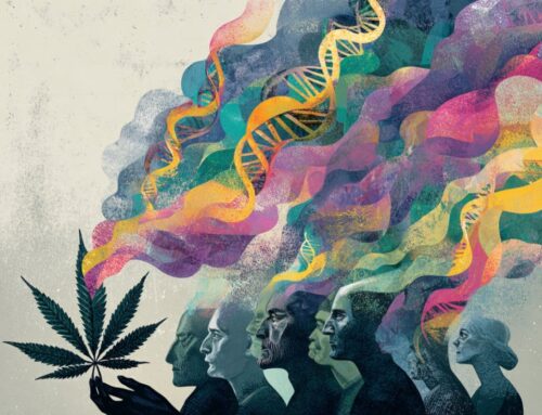 Genetic Link Between Cannabis Use Disorder and Mental Health