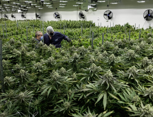 Joint cannabis commission holds first meeting amid push for regulated market