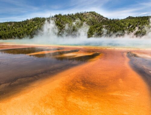Yellowstone Hot Springs Create Perfect Environment for Ancient Microbes