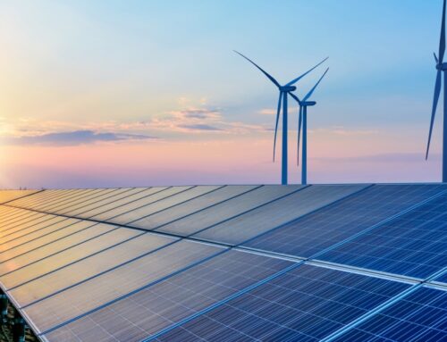 Renewable energy supply grew by 3.4% in 2024