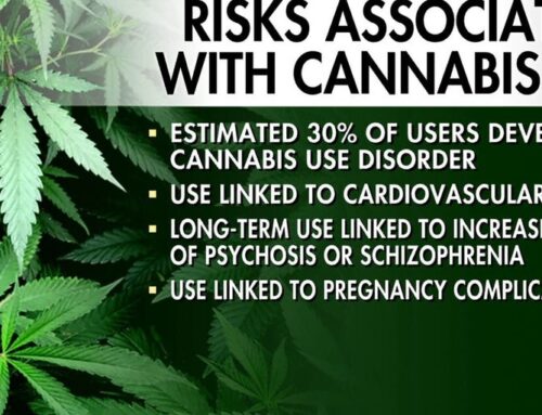 Cannabis risks in spotlight as celebrity athletes push for marijuana reform
