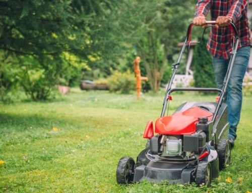 Amazon Prime Day: Get up to 50% off lawn equipment