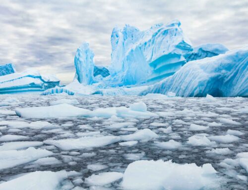 Scientists measure marine environment near melting mega-iceberg