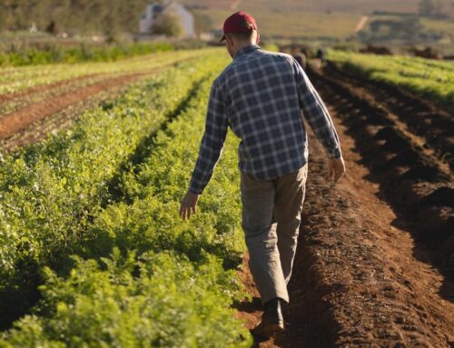 Why Mars is Investing $250m in Sustainability Tech
