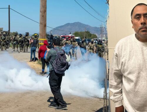 Child predator among more than 300 nabbed in cannabis farm ICE raid, largest of Trump’s se