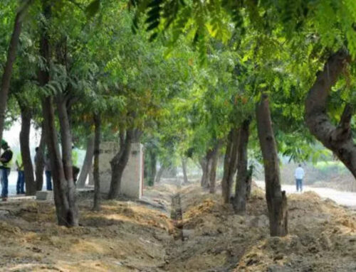 Environment management programmes at IP Uni for 2025-26 academic year | Delhi News