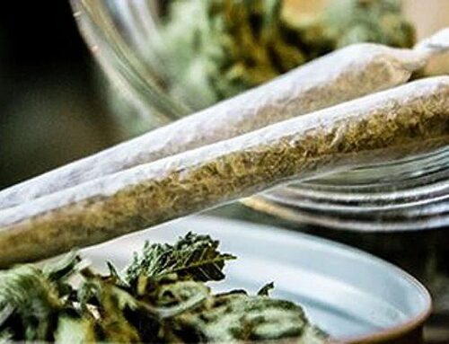The risk of postoperative proliferative vitreoretinopathy is lower with cannabis use