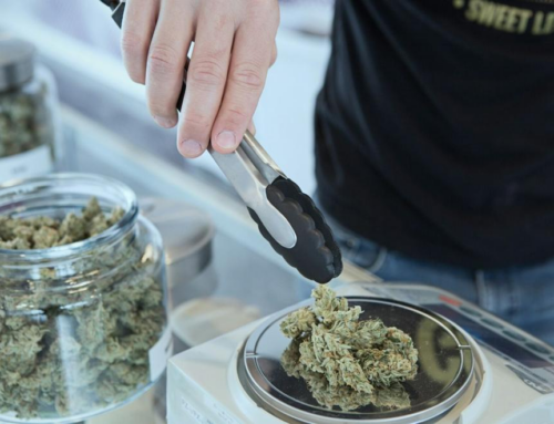 Cannabis regulators order testing lab to suspend operations