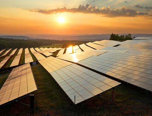 Solar Stocks Dive After Trump Orders End To Green Energy Subsidies