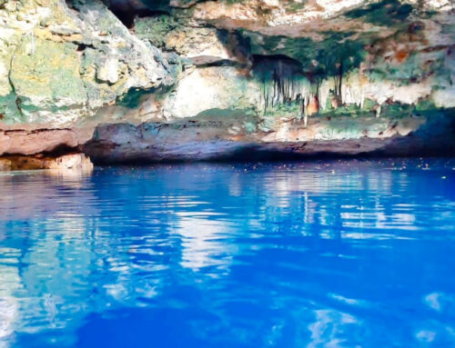 Divers at Tekit Cenote Haul Away 225 Pounds of Trash