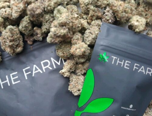 Delaware will launch recreational marijuana market Aug. 1