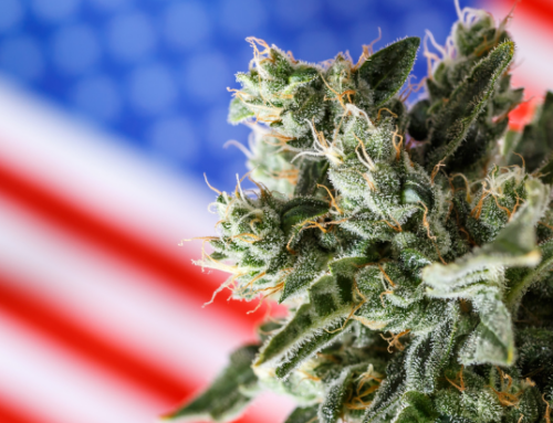 Cannabis Freedom Isn’t Free