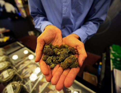 Cannabis, constellations and cutting costs: the new laws that take effect July 1