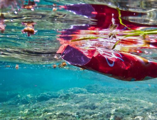 What environmental challenges does the Mediterranean face?