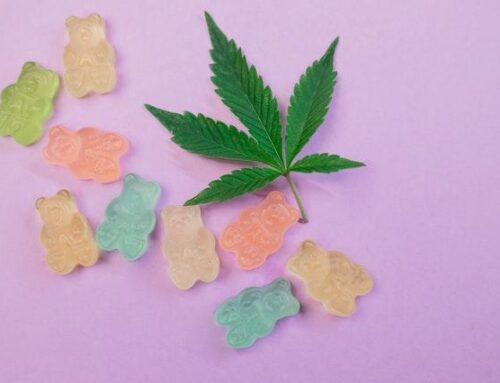 Loan Applications for All Cannabis Social Equity Licensees Set to Open August 11th