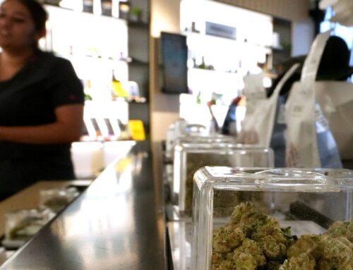 Inflation? Not in the cannabis market. Here’s why weed is so cheap.