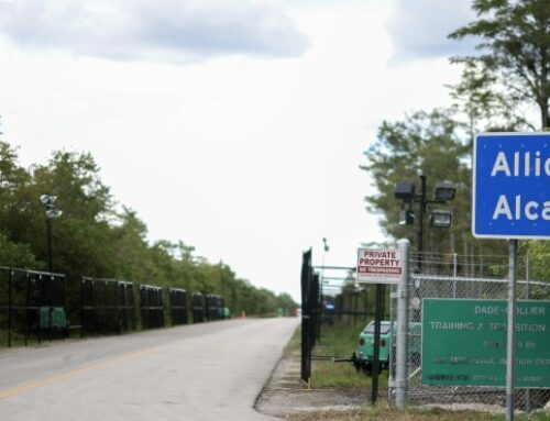 Alligator Alcatraz Expansion Blocked as Harmful to Environment