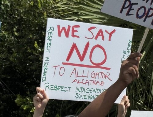 Environmental groups who oppose Alligator Alcatraz cheer court decision as ‘landmark victo