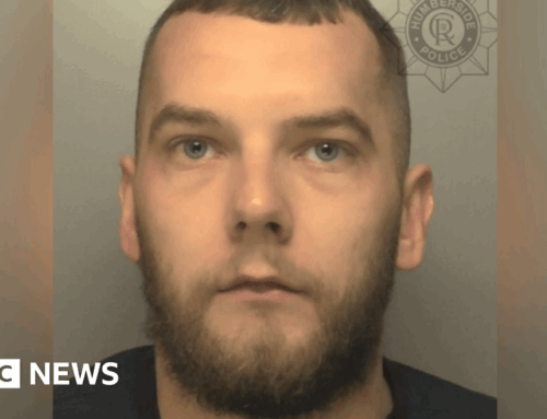 Man jailed after cannabis plants found at Hull property