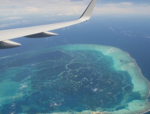 Indigenous knowledge steers new protections for the high seas