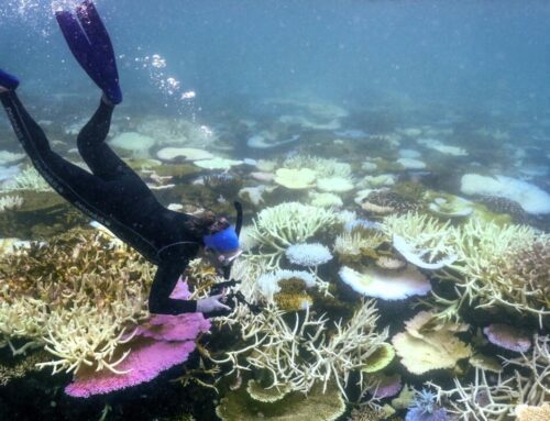 Earth fails another critical health check, but scientists say it’s not too late