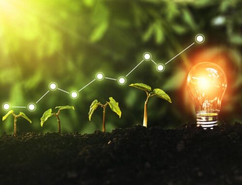 Venture Capital Inflows Will Keep Green Investments Buoyant To 2030