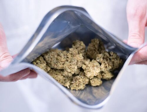 Cannabis Tech Platform Powers Germany’s Push Toward A Connected Market
